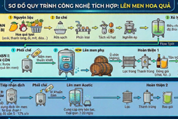 Quy trình tích hợp sản xuất các sản phẩm hoa quả lên men (cồn, dấm)