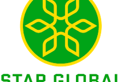 Công ty Cổ phần Giải pháp Chuyên gia Star Global