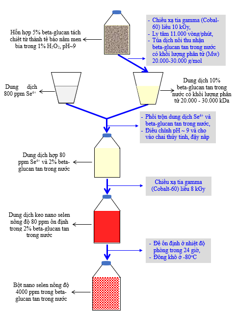Quy trình sản xuất bột nano selen ổn định trong beta-glucan tan trong nước có hoạt tính tăng cường miễn dịch bằng phương pháp chiếu xạ tia gamma (Cobalt-60)